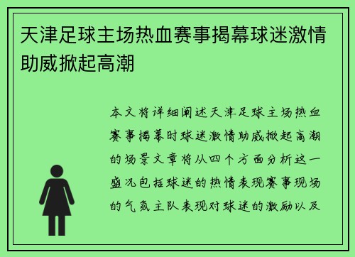 天津足球主场热血赛事揭幕球迷激情助威掀起高潮