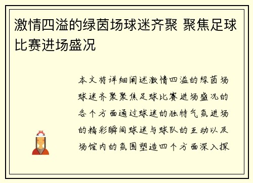 激情四溢的绿茵场球迷齐聚 聚焦足球比赛进场盛况