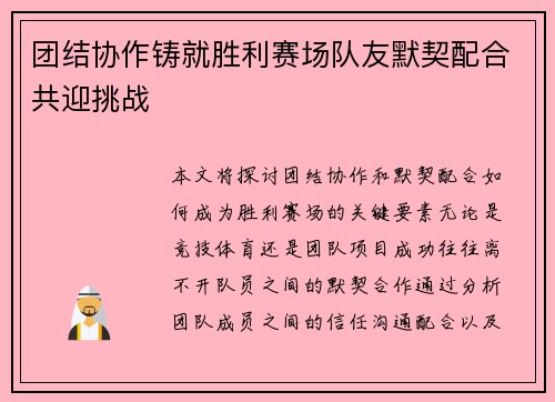 团结协作铸就胜利赛场队友默契配合共迎挑战