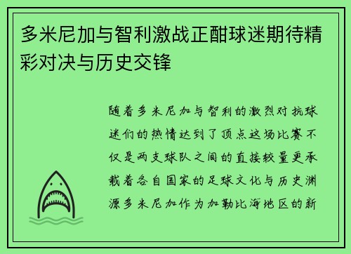 多米尼加与智利激战正酣球迷期待精彩对决与历史交锋