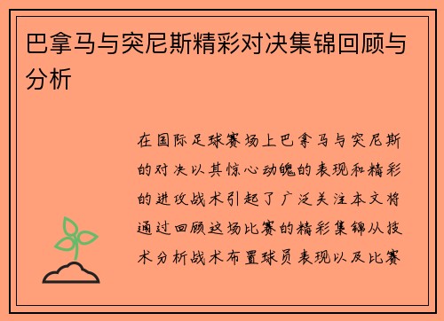 巴拿马与突尼斯精彩对决集锦回顾与分析