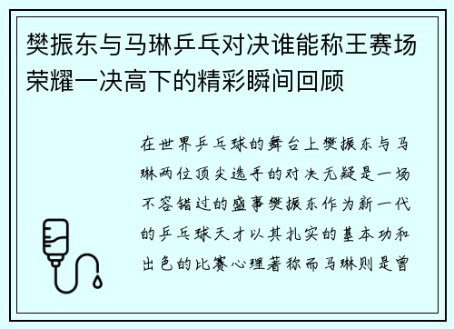 樊振东与马琳乒乓对决谁能称王赛场荣耀一决高下的精彩瞬间回顾