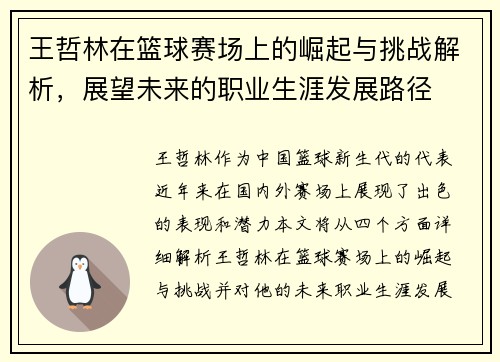 王哲林在篮球赛场上的崛起与挑战解析，展望未来的职业生涯发展路径